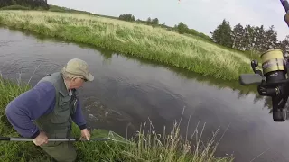 Laksefiskeri i brede Å