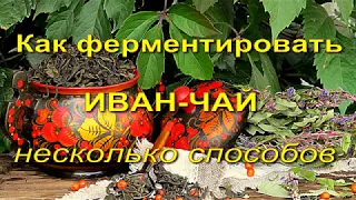 Как ферментировать иван - чай. Несколько способов.