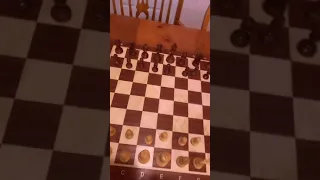 How to Win ANY Chess Game in 4 Moves!