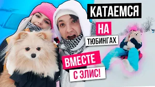 КАТАЕМСЯ С ГОРЫ НА ТЮБИНГЕ ( ВАТРУШКЕ) ВМЕСТЕ С СОБАЧКОЙ ЭЛИС!