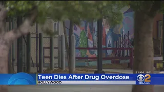 Teenage girl dies of drug overdose at Bernstein High School in Hollywood
