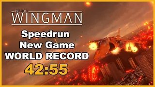 [Old WR] Project Wingman 'New Game' Speedrun in 42:55