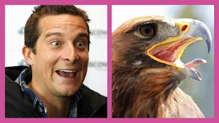 ✅ ЗНАМЕНИТОСТИ ПОХОЖИЕ НА ЖИВОТНЫХ | Animals That Look Like Celebrities!