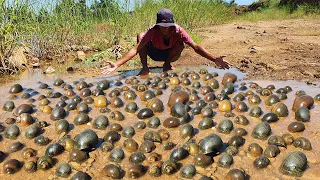 amazing fishing! a fisherman skill catch snails and crabs a lots by best hand in Flood season