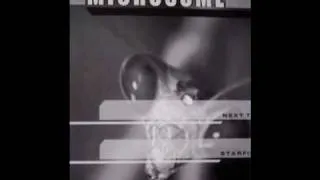 Microsome - Next Time [Album: Next Time / Star Fight #01] 2004