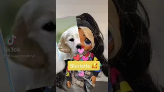 What Animal Are you, Starlette? LOL Surprise OMG Movie Magic Starlette Fashion Doll #shorts #tiktok