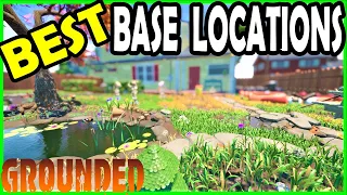 Top 5 Base Locations Voted By You in Grounded