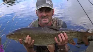 BARBEL FISHING RIVER TRENT FISKERTON - VIDEO 53