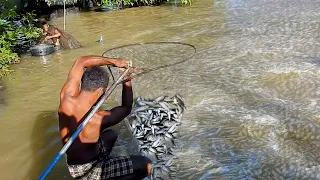 Amazing Fishing!!! Real Life 100% Net Fishing At The Countryside, How To Fishing (Episode 59)