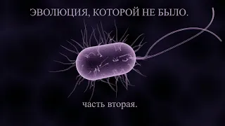 Эволюция, которой не было.  Часть вторая.