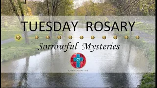 Tuesday Rosary • Sorrowful Mysteries of the Rosary 💜 A View Down the River