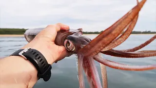 The Giant Squid Fishing Was Insane!?!