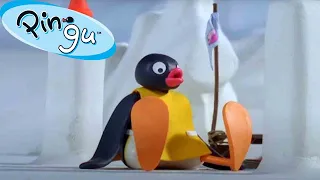 Pingu Learns Teamwork 🐧 | Pingu - Official Channel | Cartoons For Kids