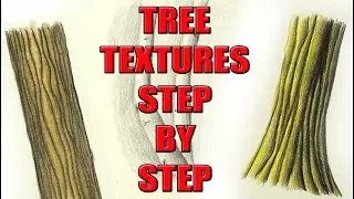 3 Ways to Color Tree Bark Textures in Colored Pencil