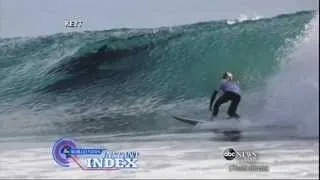 Dolphins Steal the Show at The Rincon Classic on ABC World News