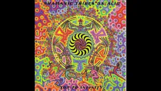 Shamanic Tribes On Acid - Spiral 303 Kinetix records 1997