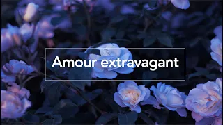 Amour Extravagant - paroles (Reckless love)