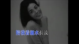 王菲 - 紅豆 KTV 伴奏