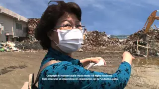 Programa especial - Terremoto y un tsunami de Japón v2