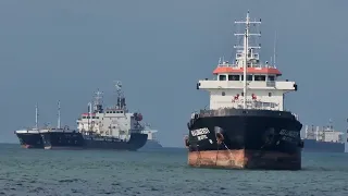 Spotting Mid-Sized Tankers: The Unsung Heroes of the Seas | SHIPSPOTTING | MARITIME | RELAXING OCEAN