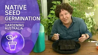 Four ways to germinate native seeds