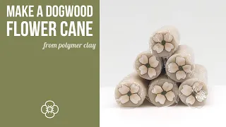 Making a Dogwood Flower Cane from Polymer Clay