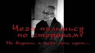 ТЕБЕ, кому взгляды других покоя не дают – Кодо Саваки Роси