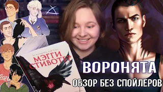 ✨ ВОРОНЯТА | Вороновый круг Мэгги Стивотер 🔮 КНИЖНЫЙ ОБЗОР | Young Adult, который мы заслужили