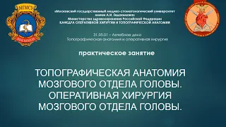 Тема 10 (ЛФ-1) - Топографическая анатомия  и оперативная хирургия мозгового отдела головы