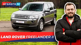 Land Rover Freelander - Dla biznesmena czy młodzieży? | Test OTOMOTO TV