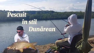 Pescuit la feeder in Stil Dunărean la tehnica method  - Am prins 21 kg Crapi si Carași frumosi 🎣