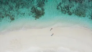 Explore a diver’s paradise on North Malé Atoll | Dhawa Ihuru, Maldives