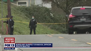 Suspect shot and killed by Seattle police after stabbing K9 to death | FOX 13 Seattle