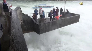 Rheinfall bei Hochwasser