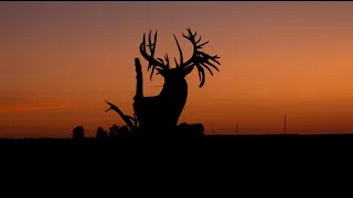 Respect the Game, Ep. 2: The Story of the World-Record Whitetail