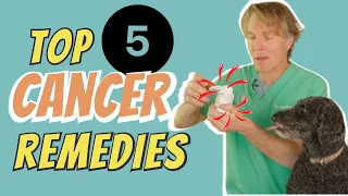 Cancer in Dogs and Cats: Top 5 Natural Remedies