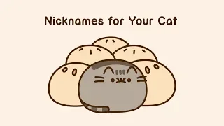 Pusheen: Nicknames for Your Cat