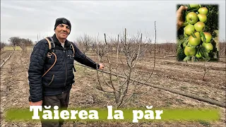 Tăierea la Păr