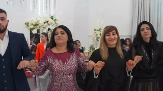 Курдская свадьба#govend#kurdishmusic#diyarbakır#sıtrânênkurdî#краснодар2023#