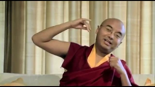 What Meditation Really Is ~ Mingyur Rinpoche