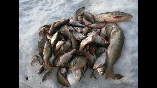 Закрытие зимнего сезона рыбалки.