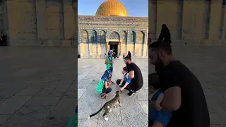 WE VISITED PALESTINE!