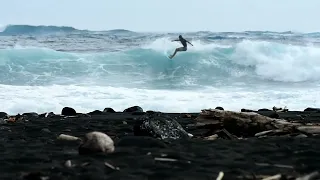 Tahiti- surf Papara