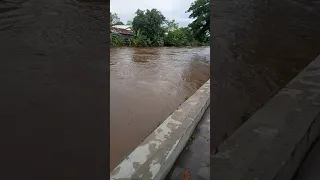 Air sungai naik jadi kesenangan anak desa