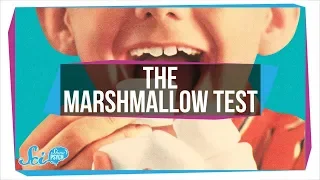 How The Famous "Marshmallow Test" Got Willpower Wrong