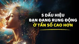 5 Dấu Hiệu cho thấy Bạn đang Rung Động ở Tần Số Cao hơn