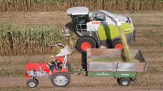 Mais häckseln mit Nachbar & Nachbar