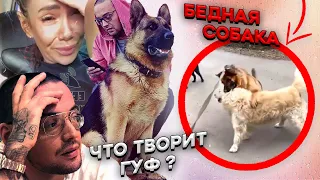 Видео Гуф натравил собаку. Айза рассказала правду.(Собака овчарка)