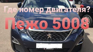 Где находиться номер двигателя Пежо 5008 1.5 дизель??? #беларусь #советы #обзоравто #малиновка