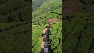 Beauty of Munnar #shorts #munnar#explore